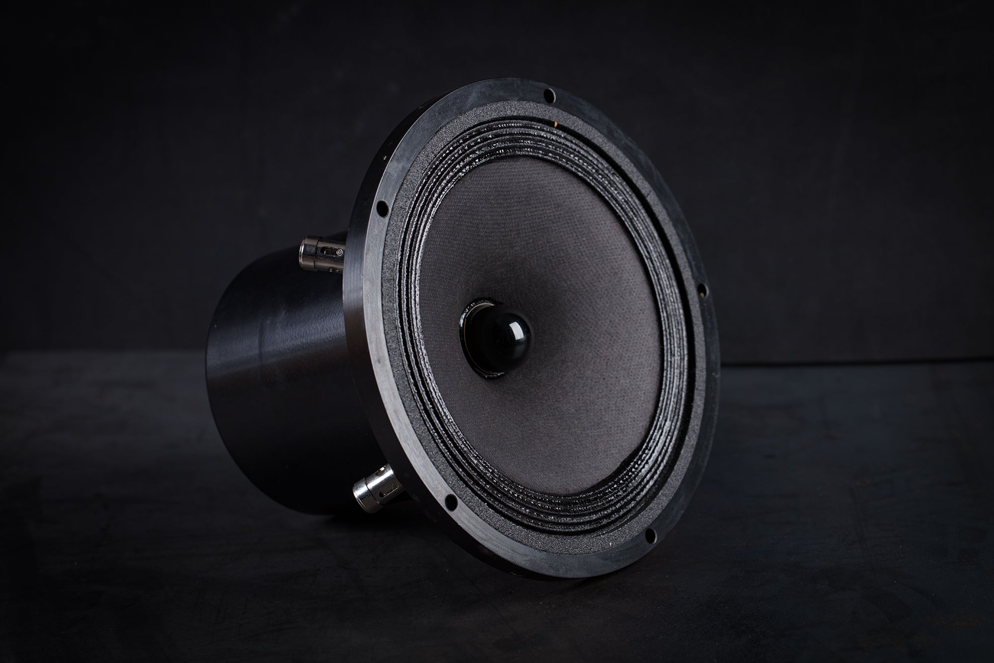 165-2000 mk2 Full range driver 35W / 96.5dB / 6 Ohms – Supravox