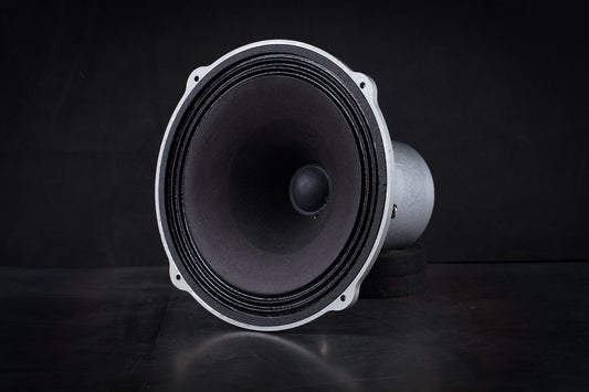 245 Heritage 50W / 101,5dB / 8 Ohm Fullrange-Lautsprecher