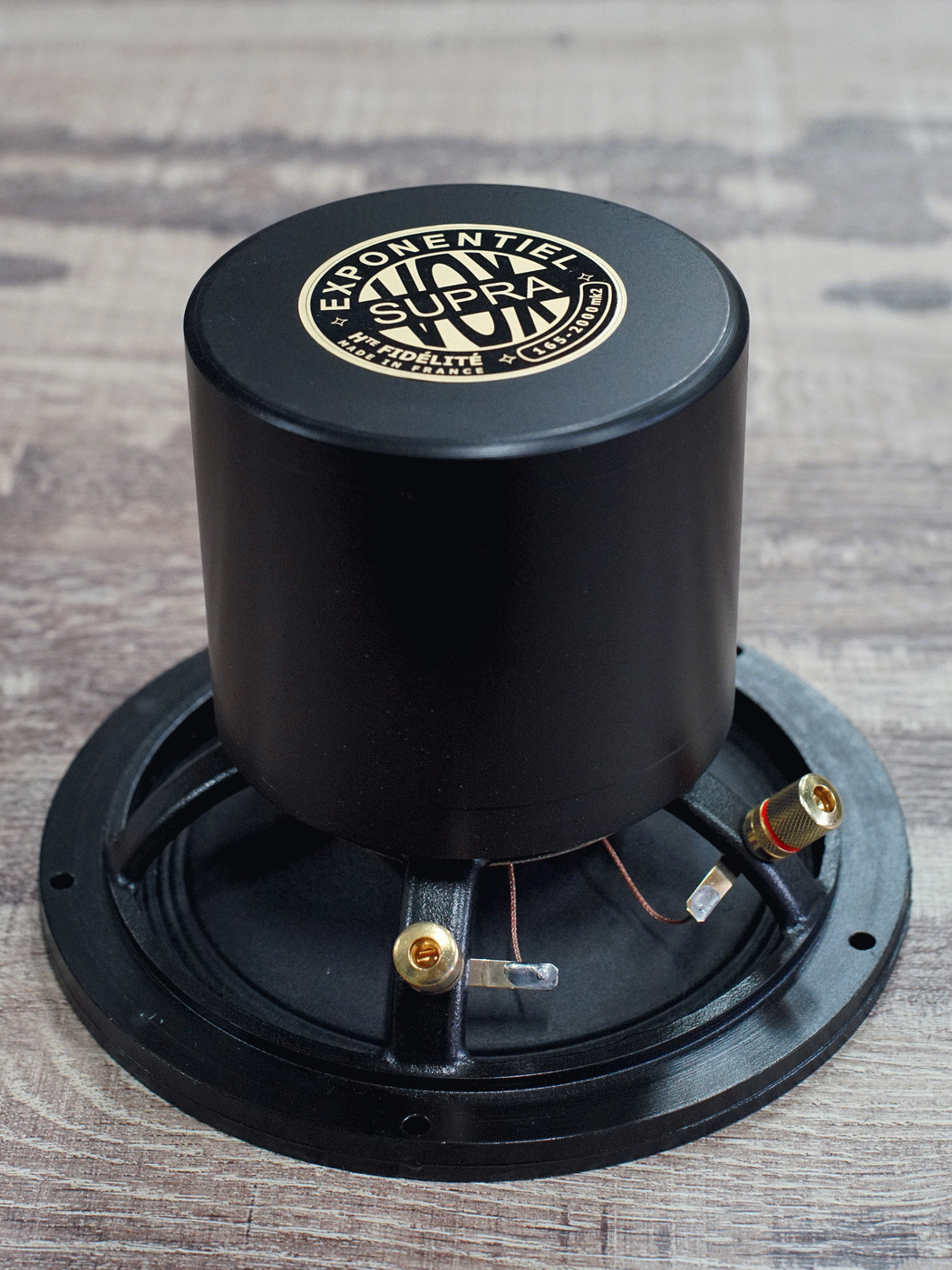 Altavoz de rango completo 165-2000 mk2 35W / 96,5dB / 6 Ohms