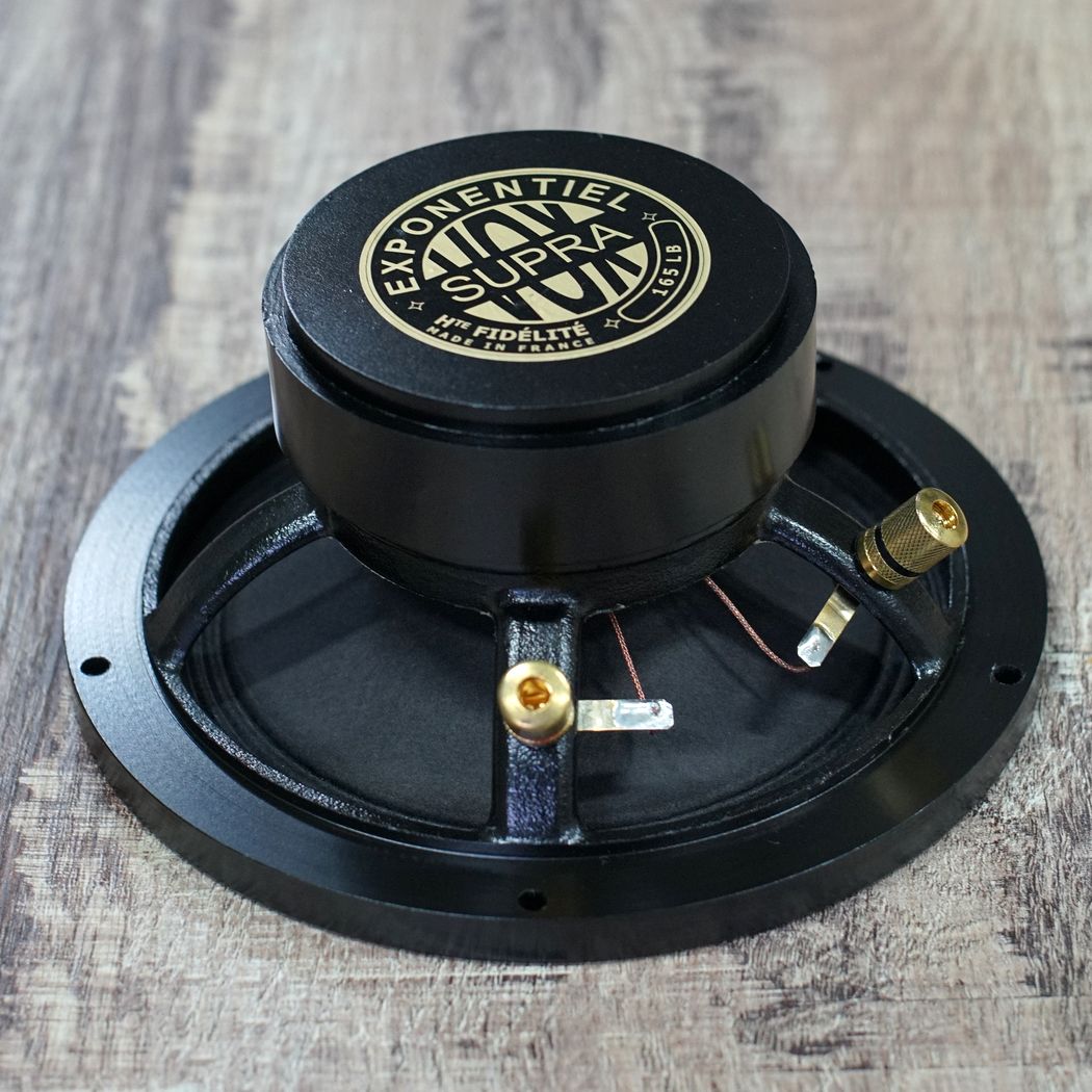 Altoparlante full-range da 165 libbre (75 kg) 35 W / 93,3 dB / 4 Ohm