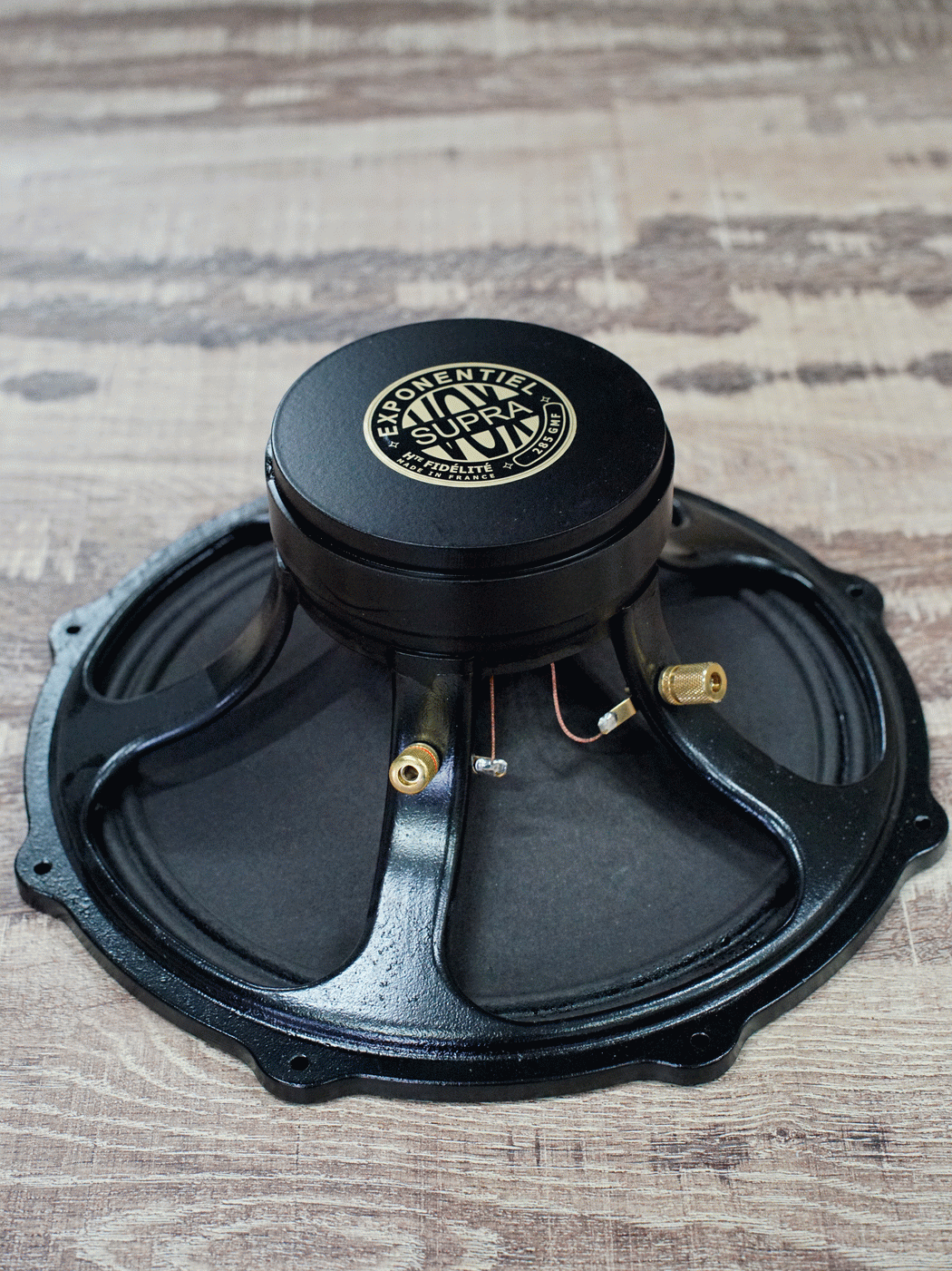 Altavoz de graves y medios 285 GMF 70W / 100dB / 8 Ohms