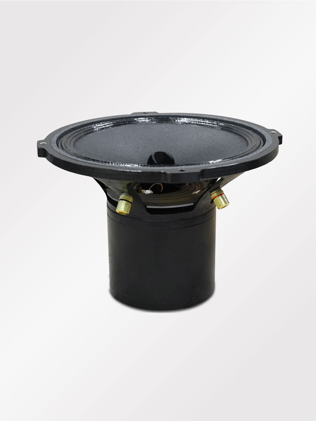 215-EXC mk2 Altoparlante full-range 70W / da 93 a 102dB / 6 Ohm
