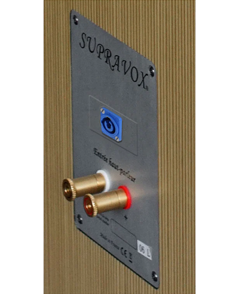 ALIZEE HERITAGE EXCITATION - Paar Standlautsprecher 2x25W / 96dB