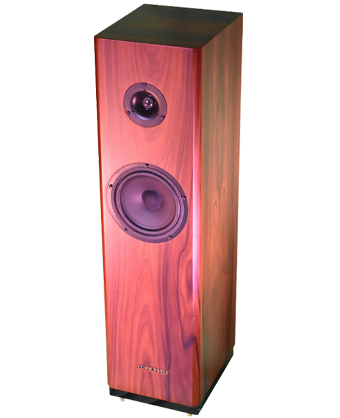 YC SIGNATURE - Coppia di diffusori da pavimento da 60 W