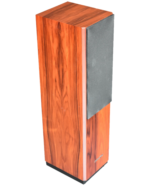 YC SIGNATURE - Paar Standlautsprecher 60W