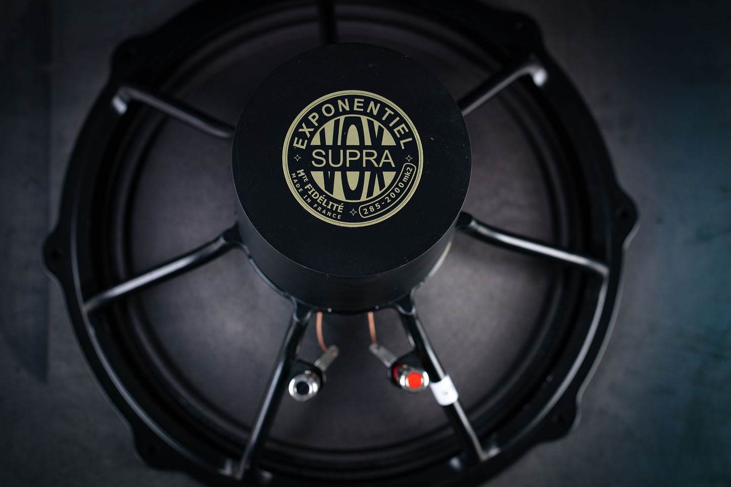 Altavoz de graves y medios 285-2000 mk2 45W / 101,5dB / 8 ohmios