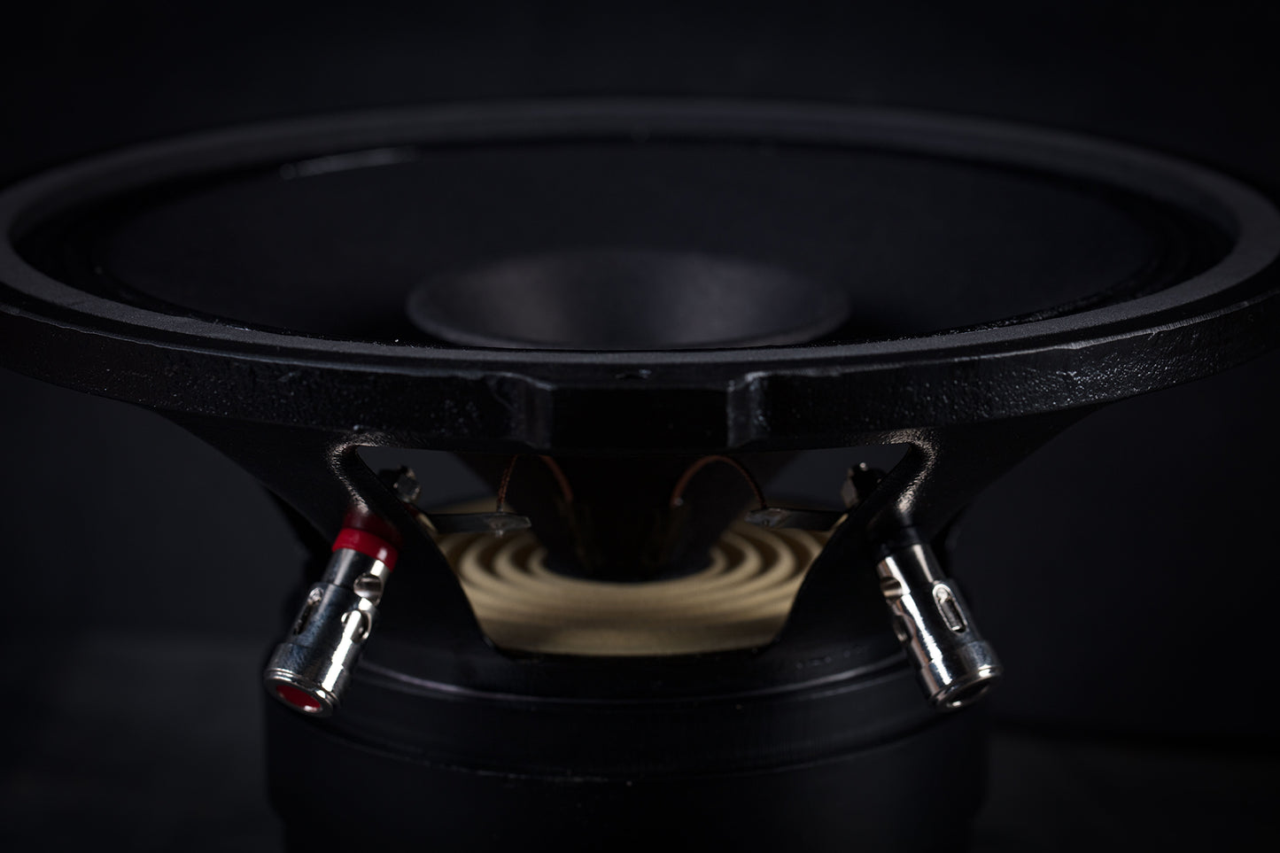 215 Signature Breitbandlautsprecher 35W / 94,5dB / 8 Ohm