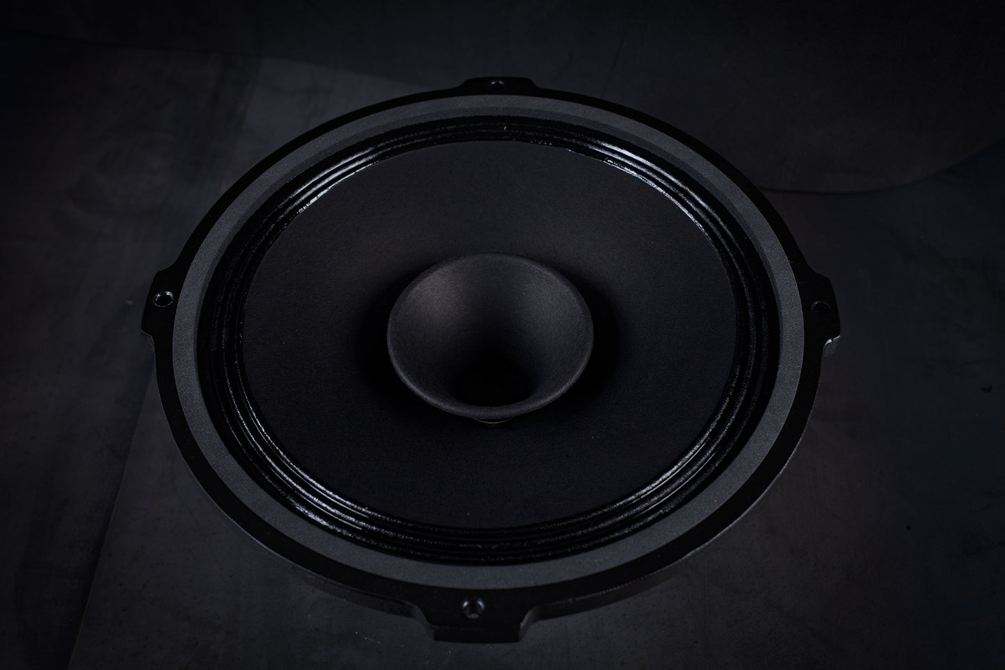 215 Signature Breitbandlautsprecher 35W / 94,5dB / 8 Ohm