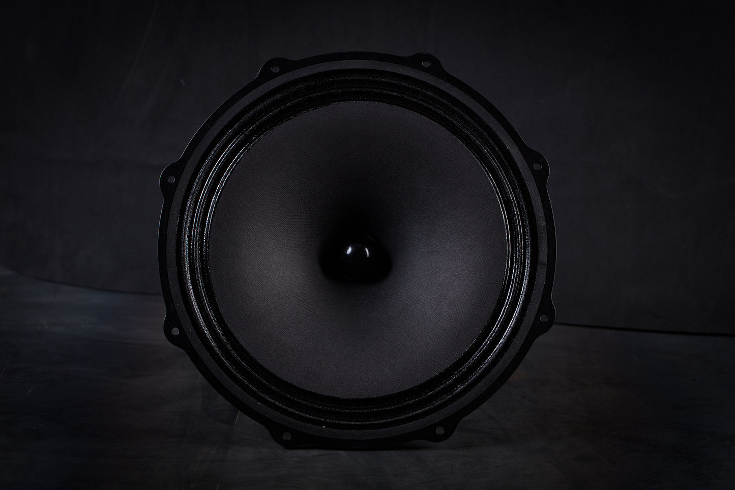Altavoz de graves y medios 285-2000 mk2 45W / 101,5dB / 8 ohmios