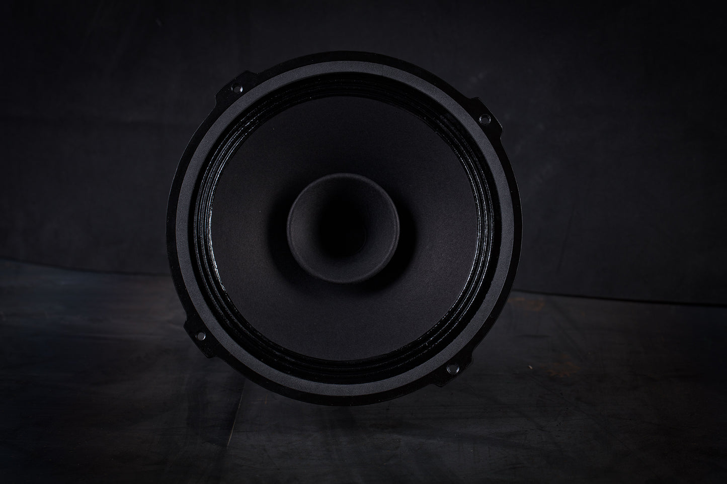 215 Signature Breitbandlautsprecher 35W / 94,5dB / 8 Ohm
