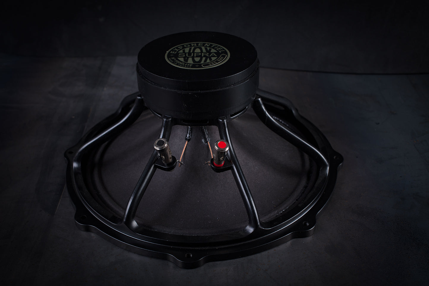 Altavoz de graves y medios 285 GMF 70W / 100dB / 8 Ohms