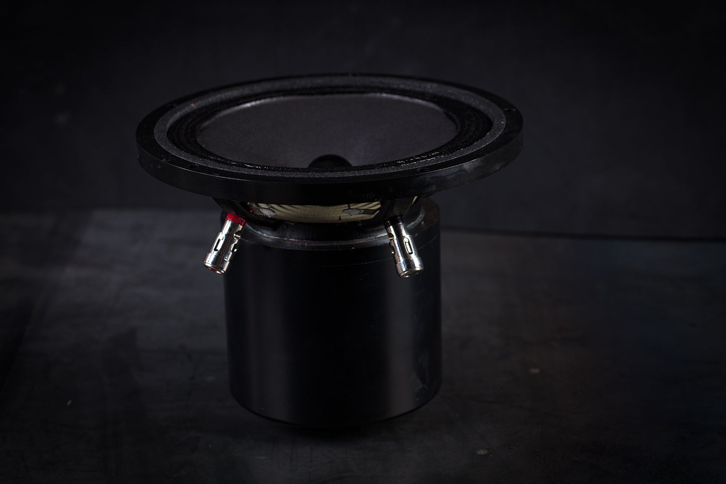 Altavoz de rango completo 165-2000 mk2 35W / 96,5dB / 6 Ohms