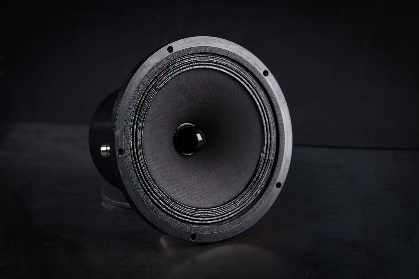 Altavoz de rango completo 165-2000 mk2 35W / 96,5dB / 6 Ohms