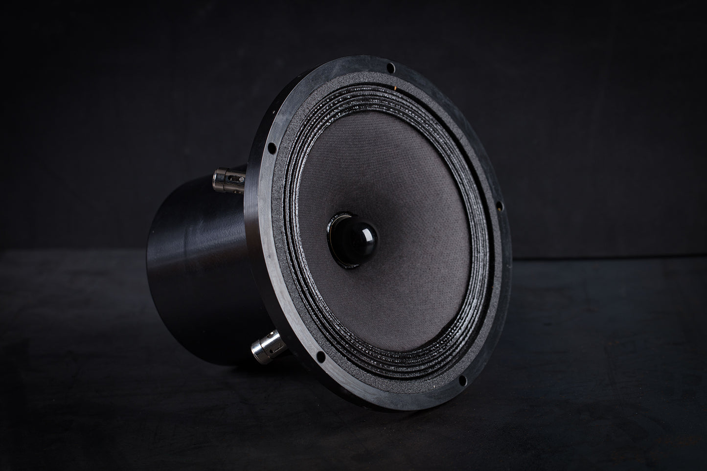 Altavoz de rango completo 165-2000 mk2 35W / 96,5dB / 6 Ohms