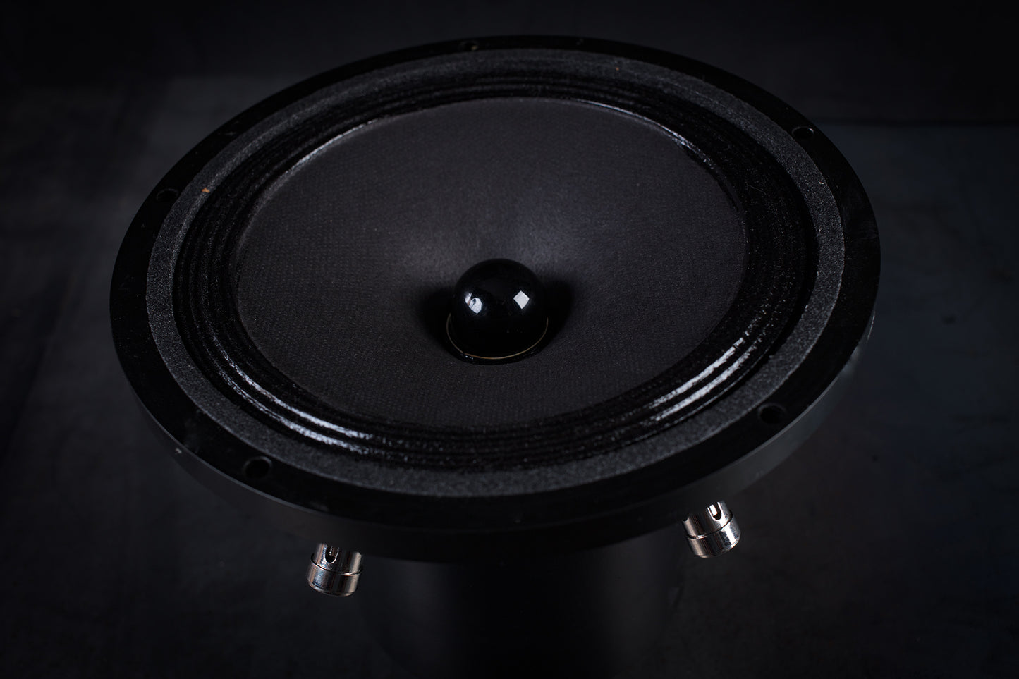 Altavoz de rango completo 165-2000 mk2 35W / 96,5dB / 6 Ohms