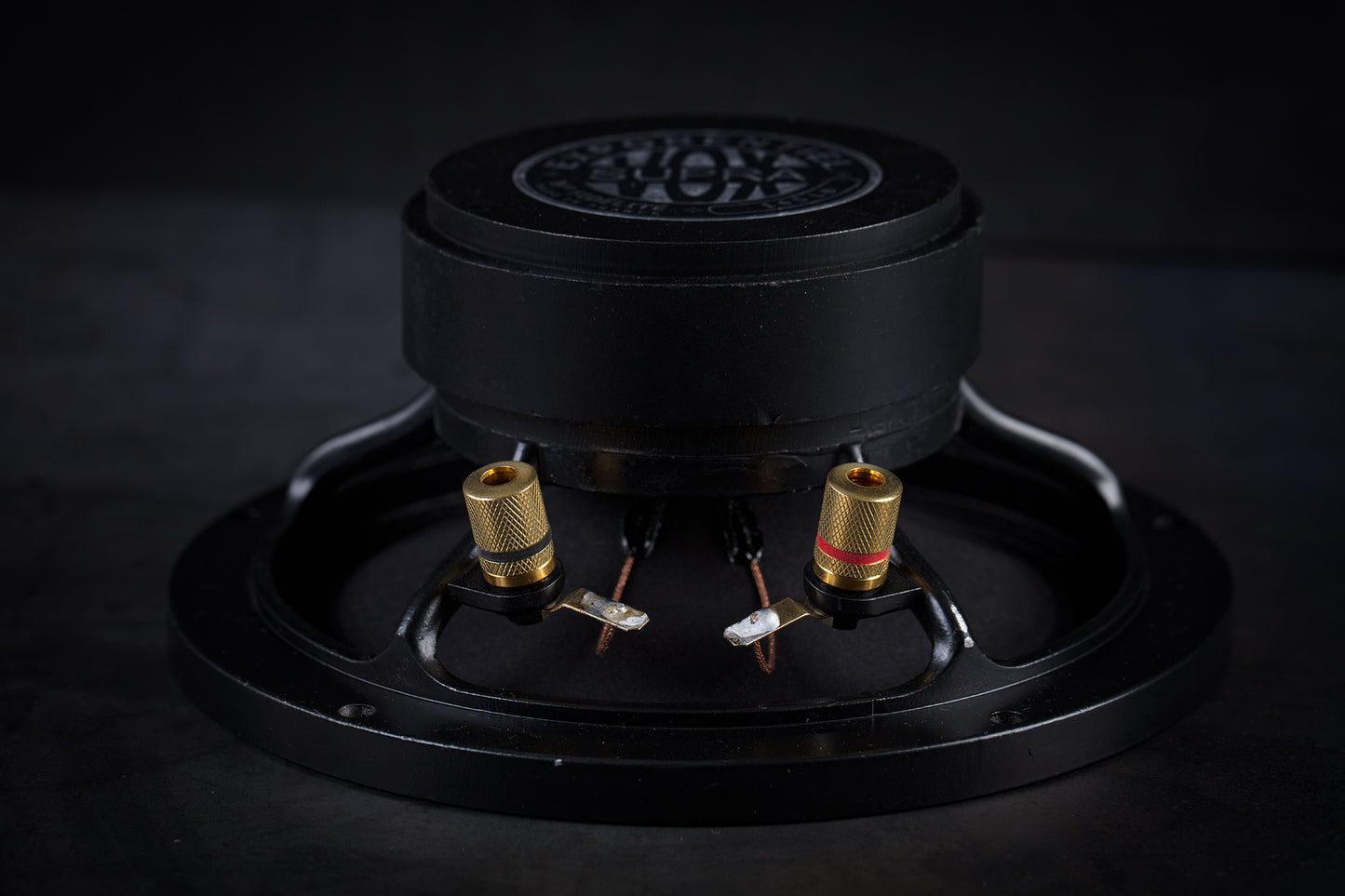 Altoparlante full-range da 165 libbre (75 kg) 35 W / 93,3 dB / 4 Ohm