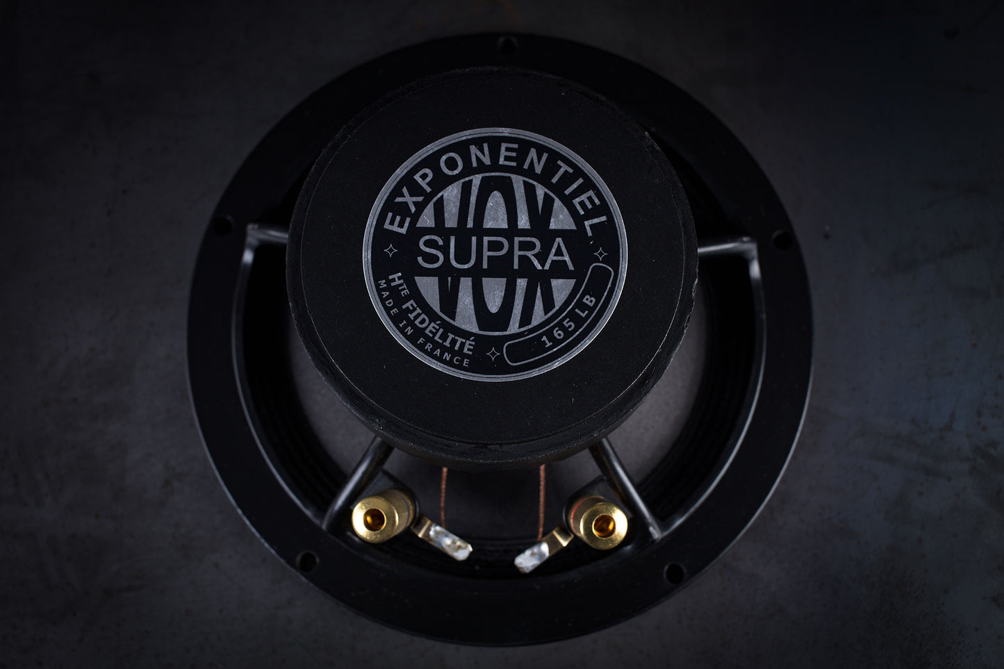 Altoparlante full-range da 165 libbre (75 kg) 35 W / 93,3 dB / 4 Ohm