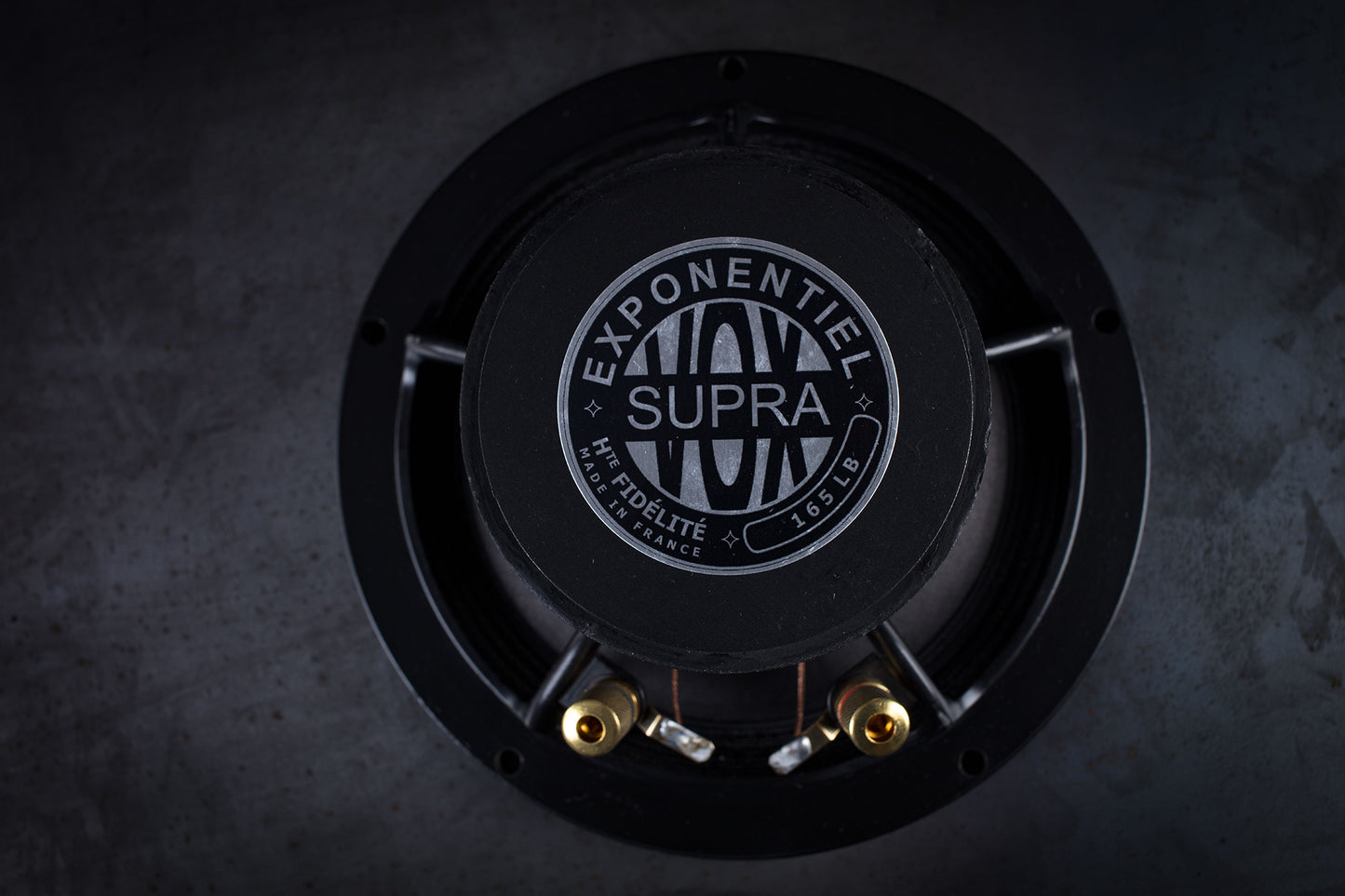 Altoparlante full-range da 165 libbre (75 kg) 35 W / 93,3 dB / 4 Ohm