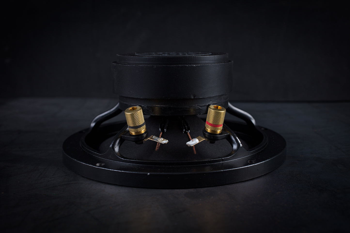 Altoparlante full-range da 165 libbre (75 kg) 35 W / 93,3 dB / 4 Ohm