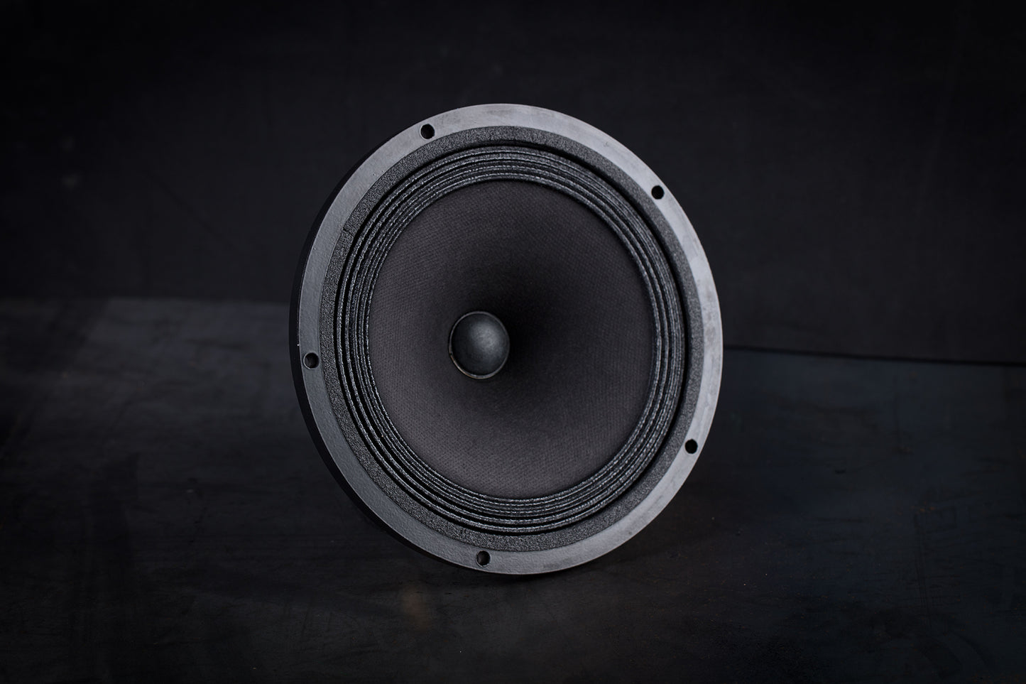 Altoparlante full-range da 165 libbre (75 kg) 35 W / 93,3 dB / 4 Ohm