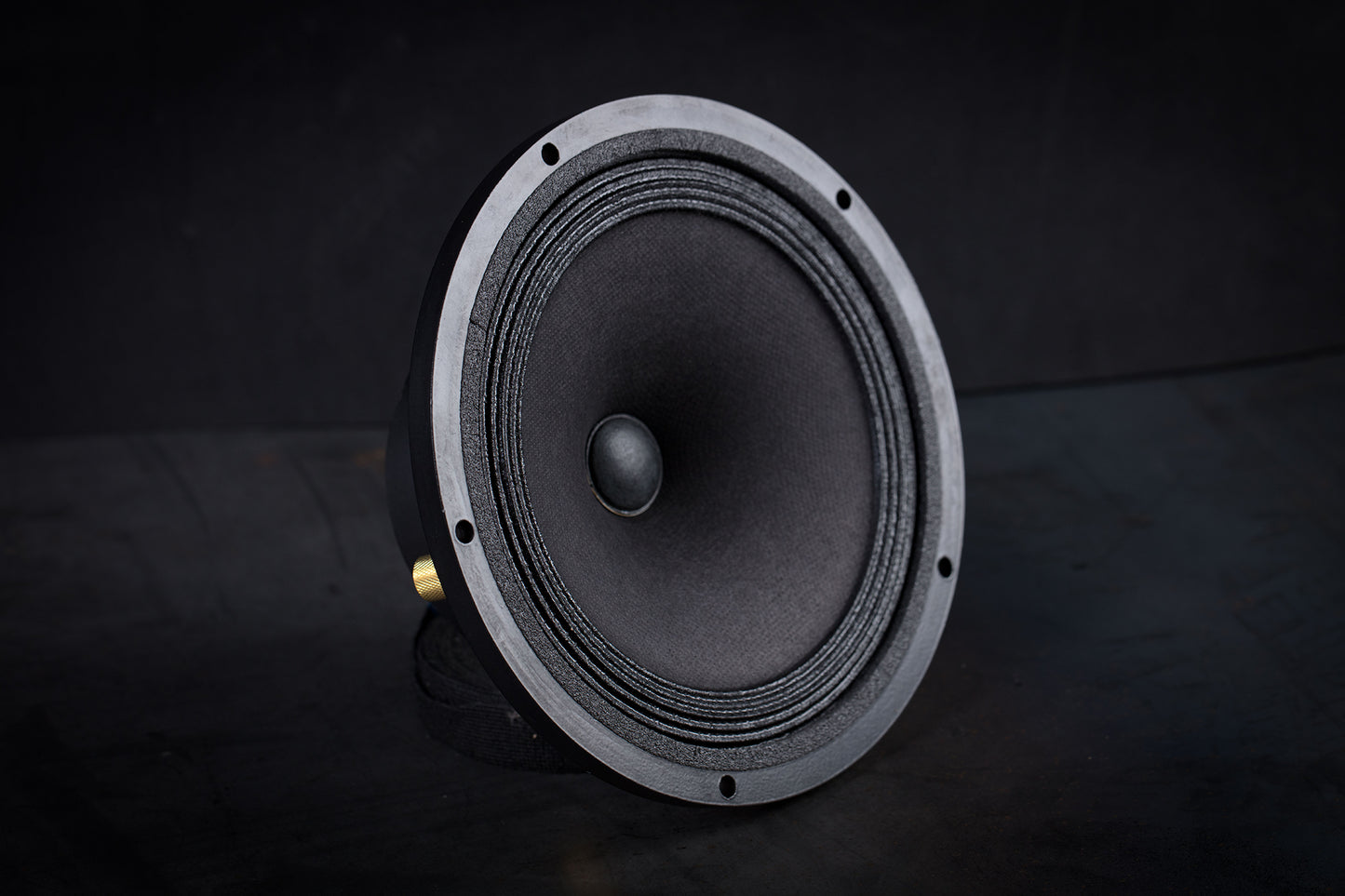 Altoparlante full-range da 165 libbre (75 kg) 35 W / 93,3 dB / 4 Ohm