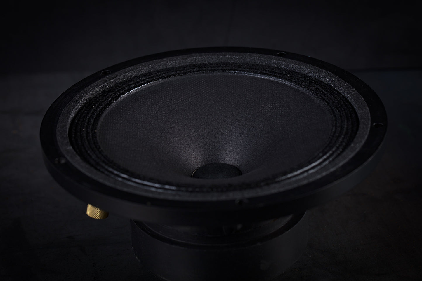 Altoparlante full-range da 165 libbre (75 kg) 35 W / 93,3 dB / 4 Ohm