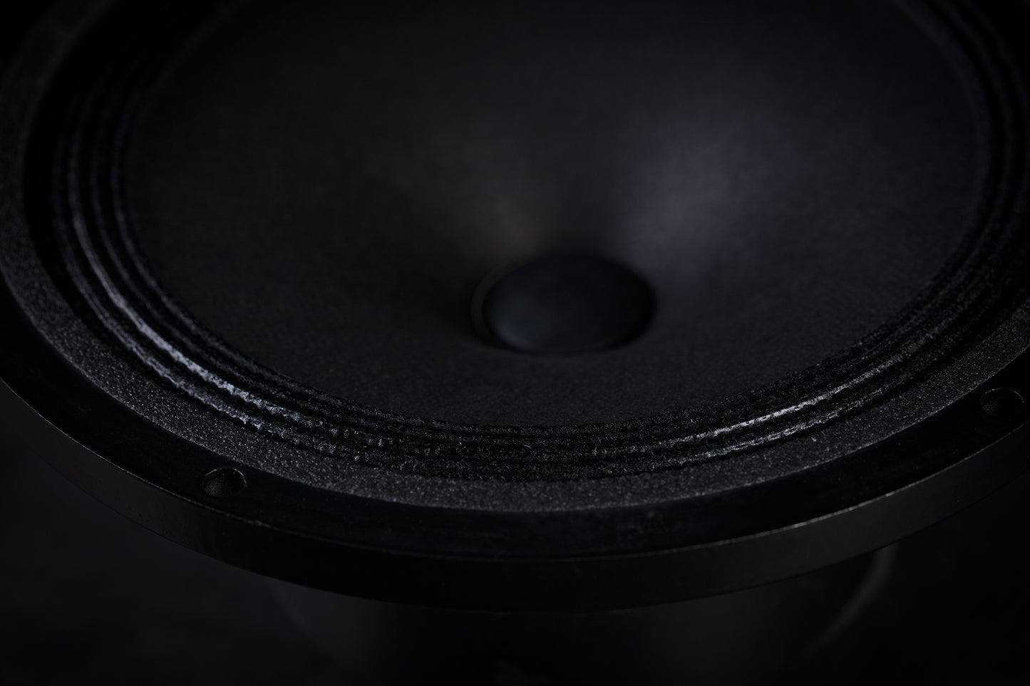 Altoparlante full-range da 165 libbre (75 kg) 35 W / 93,3 dB / 4 Ohm