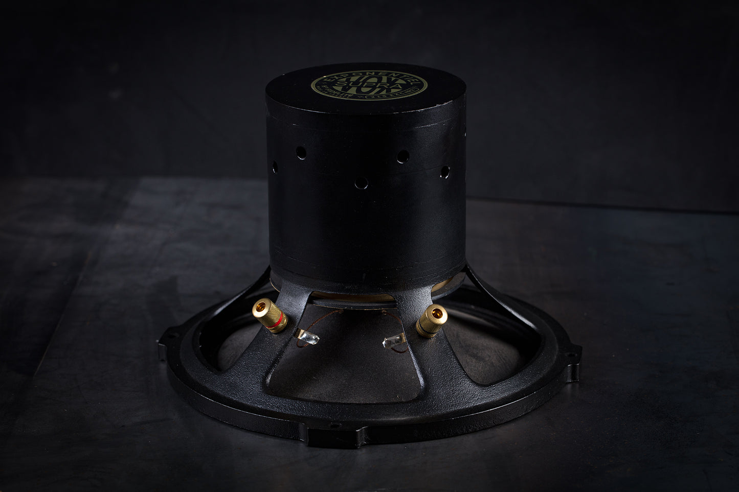 215-EXC mk2 Altoparlante full-range 70W / da 93 a 102dB / 6 Ohm