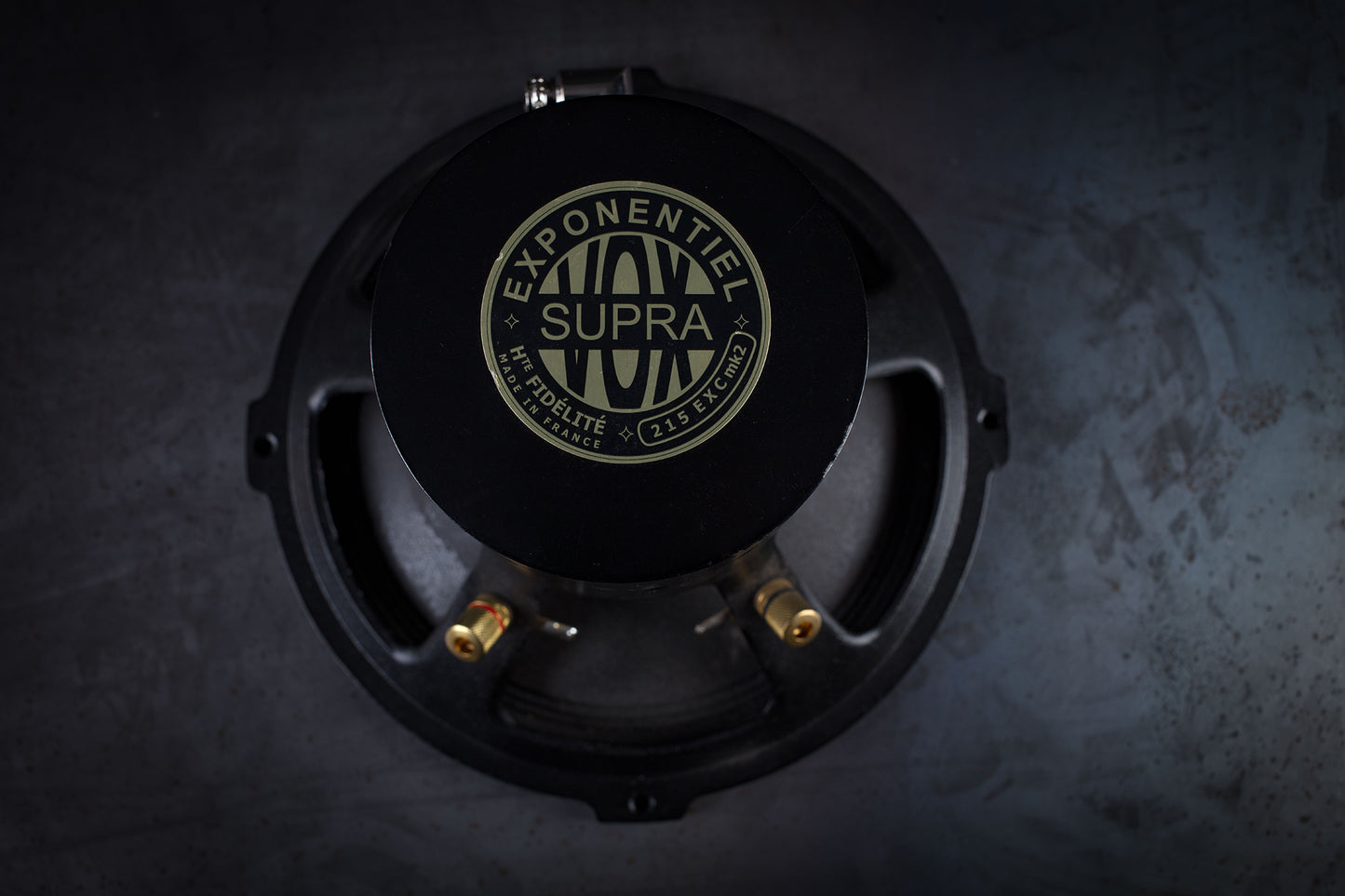 215-EXC mk2 Altoparlante full-range 70W / da 93 a 102dB / 6 Ohm