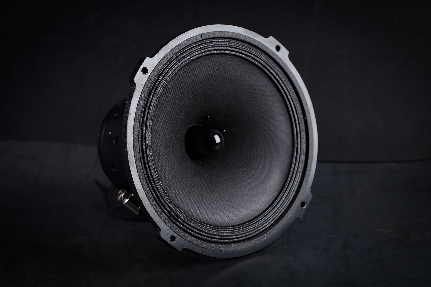 215-EXC mk2 Altoparlante full-range 70W / da 93 a 102dB / 6 Ohm