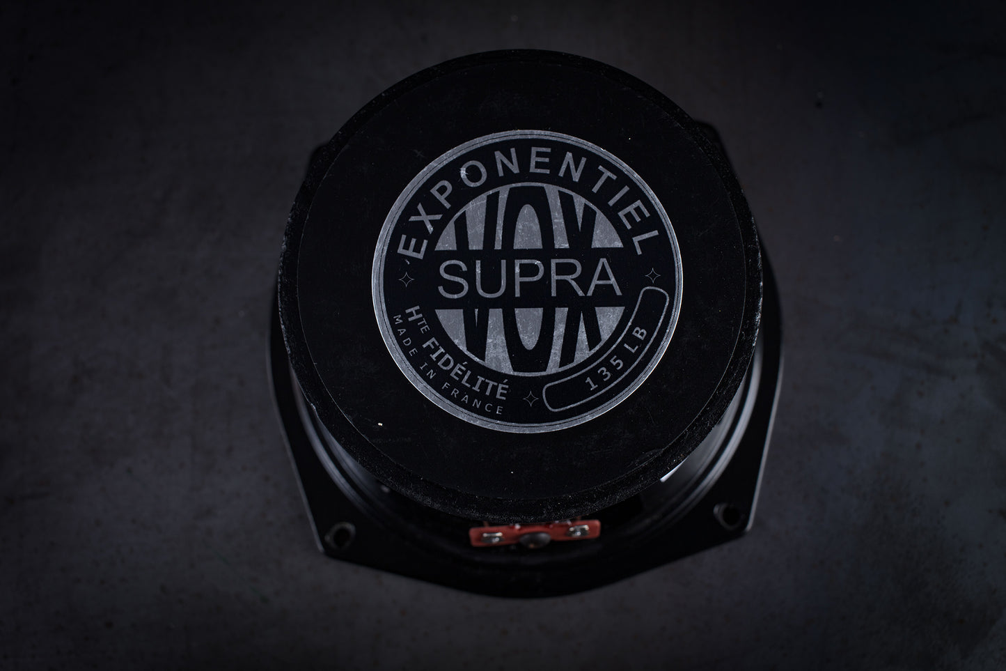 Altavoz de rango completo de 61 kg (135 lb) 35 W / 95 dB / 8 ohmios