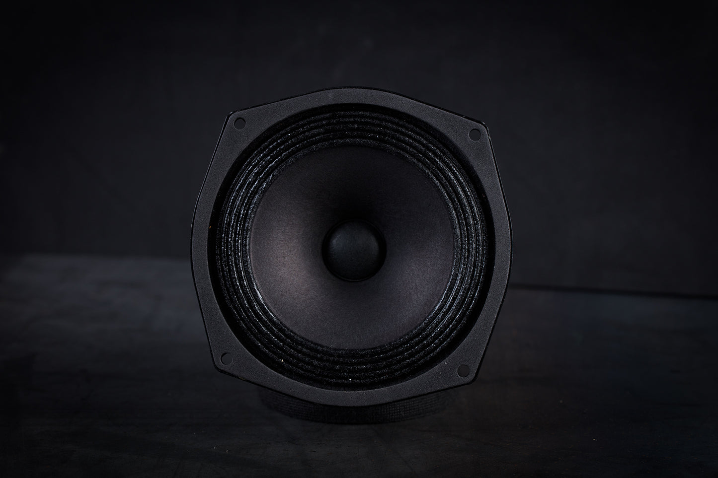 Altavoz de rango completo de 61 kg (135 lb) 35 W / 95 dB / 8 ohmios