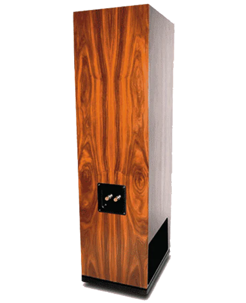 ALIZEE - Coppia di diffusori da pavimento 2x20W / 99dB